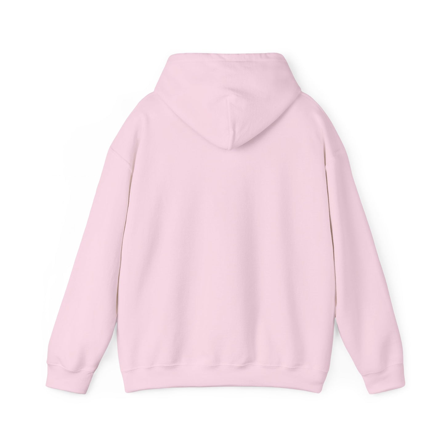 Rainbow Warriors Hoodie