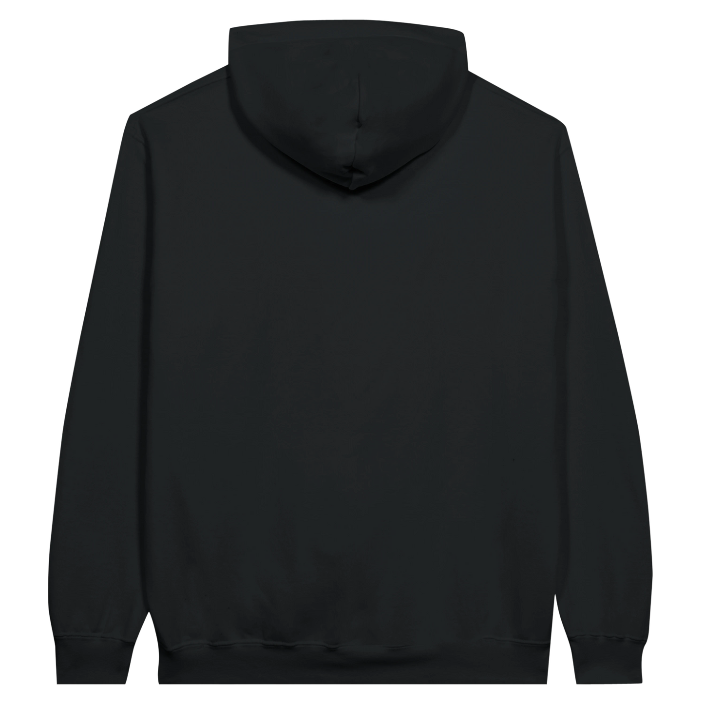 Rainbow Warriors Hoodie v2